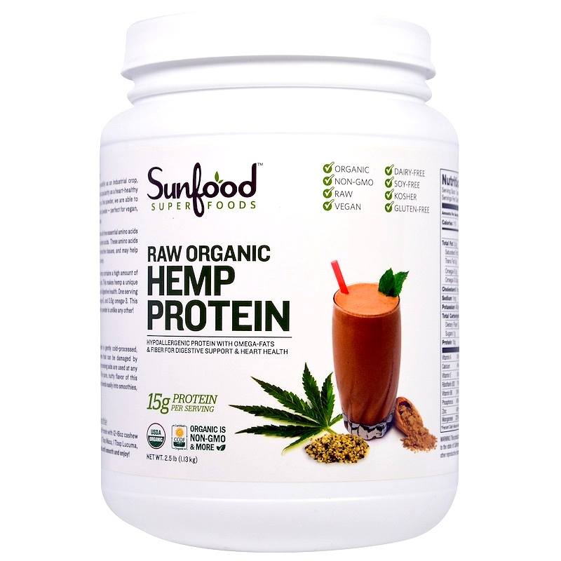 Hemp Protein: Is this a great alternative for traditional protein powders?