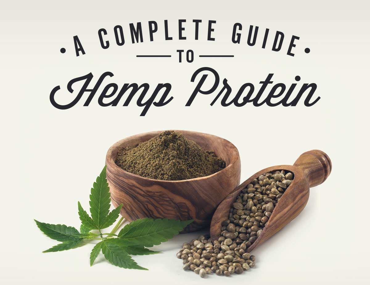 Hemp Protein: A Great Mix for A High Protein Diet? 