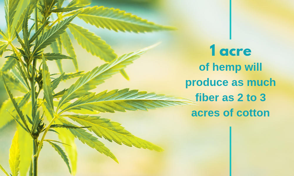 Hemp is not just for sports drinks, check out the industrial uses for hemp