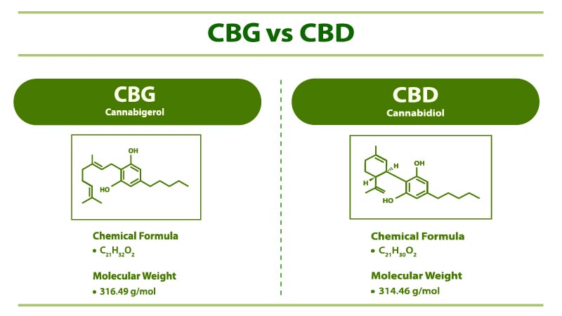 Differences of CBD Formulas
